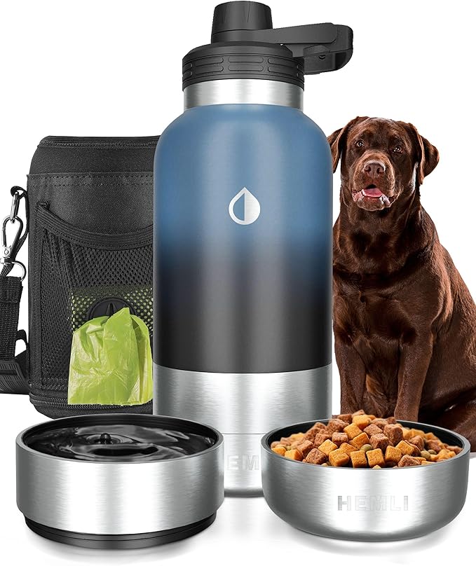 pure life portable water dispenser