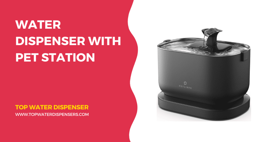 Water Dispenser with Pet Station